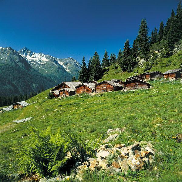 Alp Chalet Appartement คัพเพิล ภายนอก รูปภาพ
